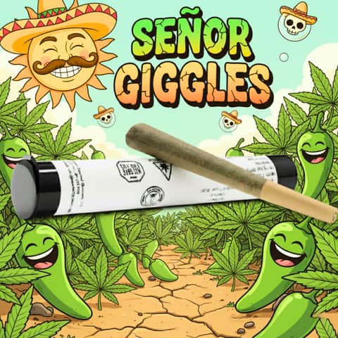 Señor Giggles