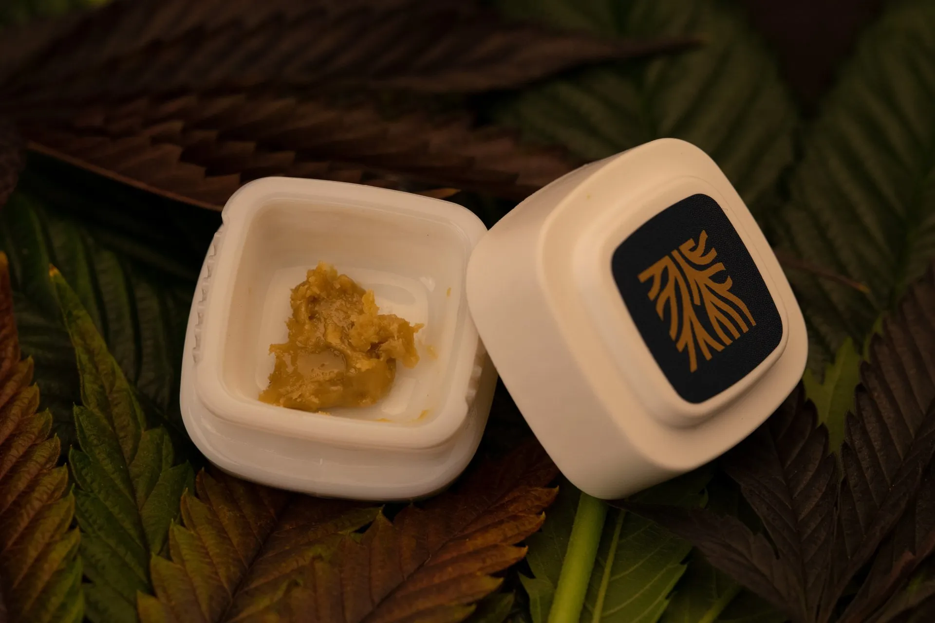 Soul Mate Live Rosin