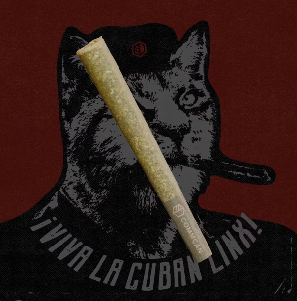 CommCan Preroll Cuban LinxCommCan
