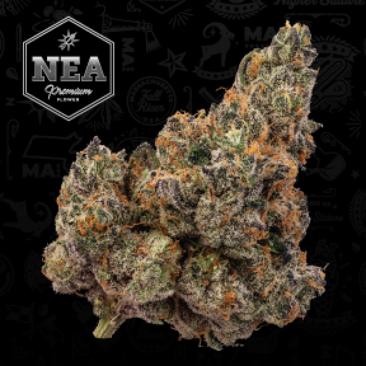 Tropicana CherryNEA Awarded